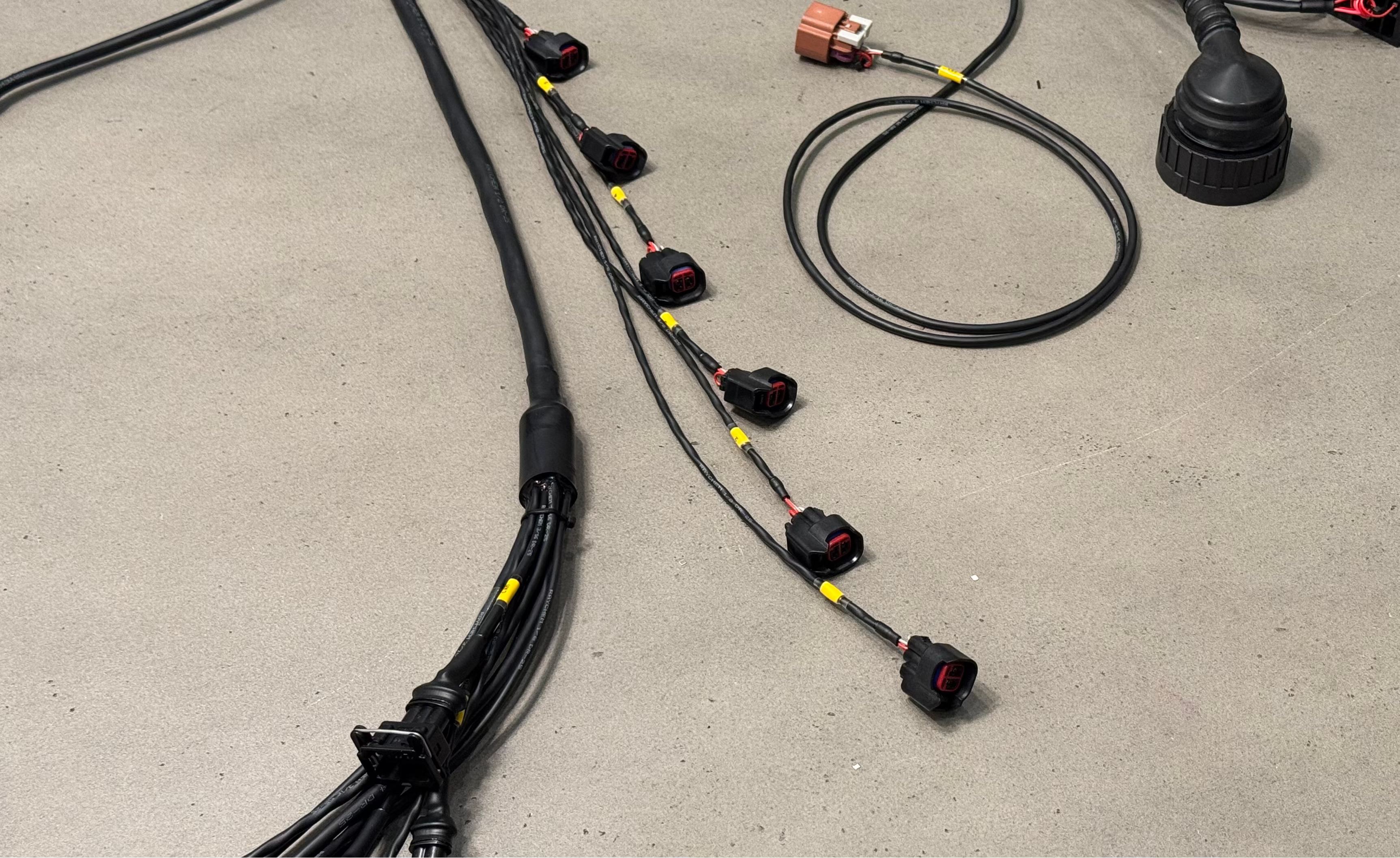 M5X/S5X E36 Engine Harness