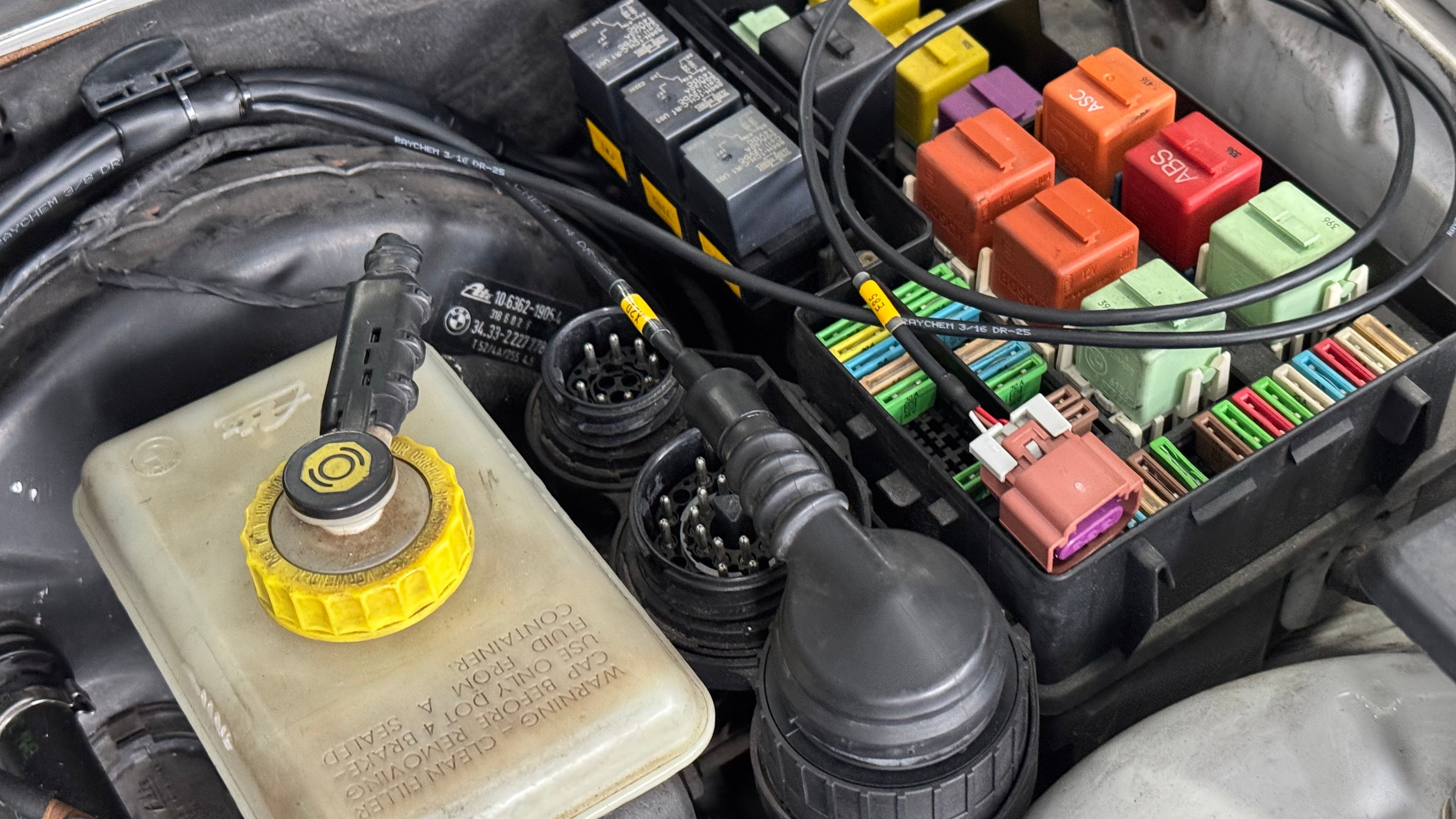 M5X/S5X E36 Engine Harness